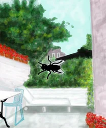 Fliege am Fenster, Brooklyn