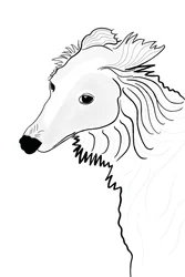 Linienzeichnung eines Silken Windhunds