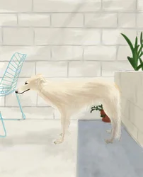 Penny auf der Hinterveranda, 2017