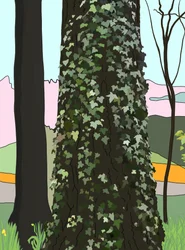 Baum mit Efeu