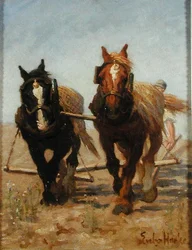 Das Pflugteam, Sussex Downs