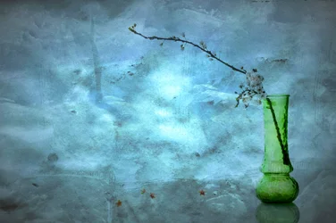 Stille blaue Blüten
