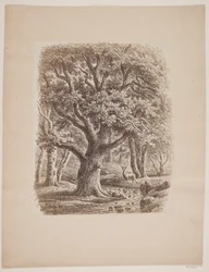 Waldinneres mit einem Bach und einem Hirsch