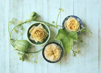 Pastellfarbene Rosen und Kürbisse