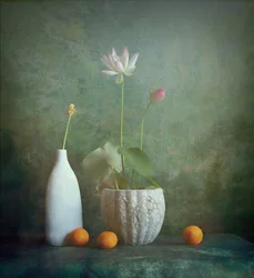 Heiteres Lotus-Stillleben