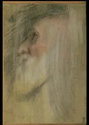 Kopf eines alten Mannes im Profil, ca. 1575-9