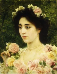 Die rosa Rose