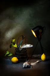 Makrele und Zitrone Licht