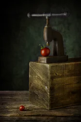 Vintage Tomatenpresse Stillleben