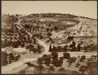 Ölberg, Jerusalem