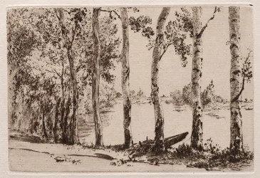 Espen am Ufer der Seine