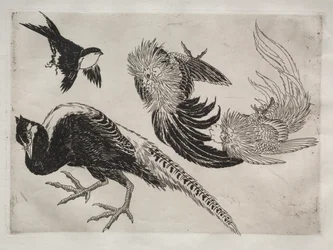 Tafelservice (Rousseau-Service): Fasane und Vogel (Nr. 18)
