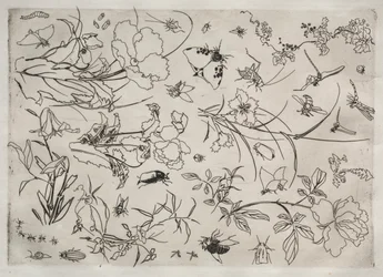 Tafelservice Rousseau-Service: Blumen und Insekten Nr. 15, 1866