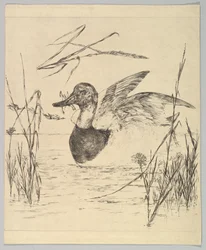 Ente, 1850-1914