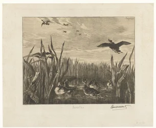 Landschaft mit Enten im Wasser zwischen Schilf