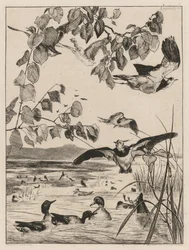 Kiebitze und Krickenten, 1862