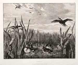 Kricker, 1853 gedruckt 1864