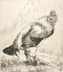 Der alte Hahn, 1882