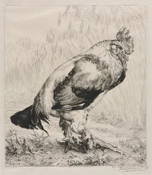 Der alte Hahn, 1882