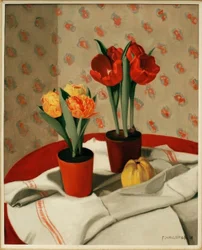Zwei Töpfe mit roten und gelben Tulpen