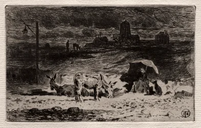 Die Esel am Hügel der Cailles