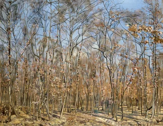 Buchenwald, 1885-1894
