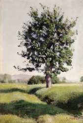 Der Baum