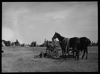 Pferd neben Wagen in Semere