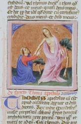 Ms Gen 1111 Seite aus der Legenda Aurea, Brügge, ca. 1400-10