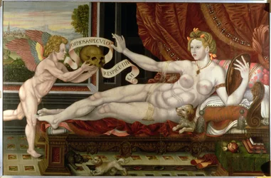 Vanitas