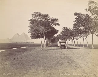 Kairo. Allee der Pyramiden, ca. 1870