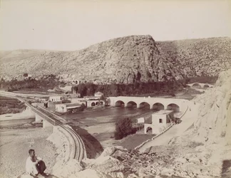 Les ponts du fleurs du chien