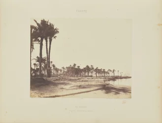 El-Nâcéra. Dattelpalmen, Nilufer und Boote
