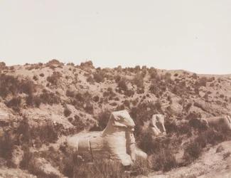 Sphinxe mit Menschenkopf und mit Widderkopf bei Punkt Y. Karnak (Theben)