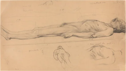 Die Leiche (Studie für den toten Christus)