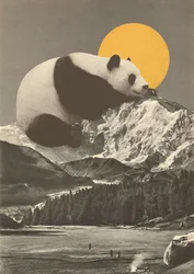Pandas Nickerchen in den Bergen