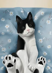 Niedliche Tuxedo-Katze