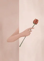 Hand hält Rose