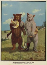 Zwei Roosevelt-Bären hatten ein Zuhause im Westen in einer großen Schlucht nahe einem Bergkamm