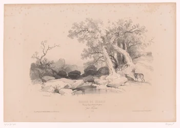 Felsenlandschaft mit Wasser und zwei Hirschen