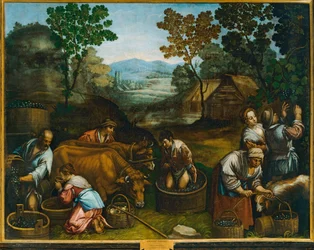 Weinlese