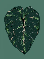 Tiefgrüne Botanica