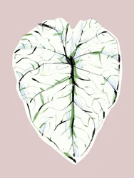 Elegantes Geädertes Blatt