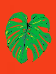 Lebhaftes Monstera-Blatt