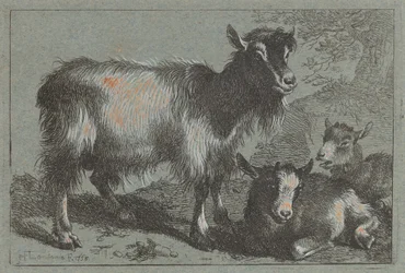 Ziege und zwei Kitze
