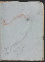 Verona Skizzenbuch: Studie von Händen und Armen (Seite 29)