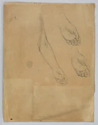 Drei Studien einer linken Hand