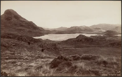 Arthog, Creigenen-See