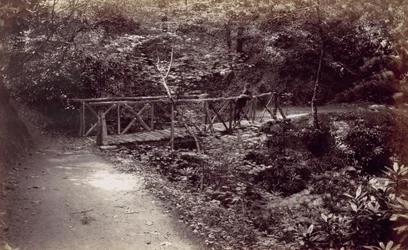 Colwyn Bay. Rustikale Brücke im Wald, 1870er Jahre