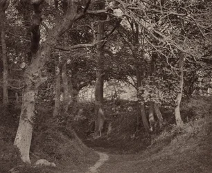 Glen Kenilworth, um 1868